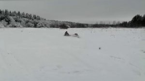 Forza 6,5 Обкатка вышла из под контроля мотобуксировщик форза 6,5.