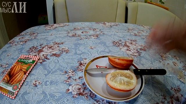 Дыня вьетнамская. Сады России смотреть онлайн