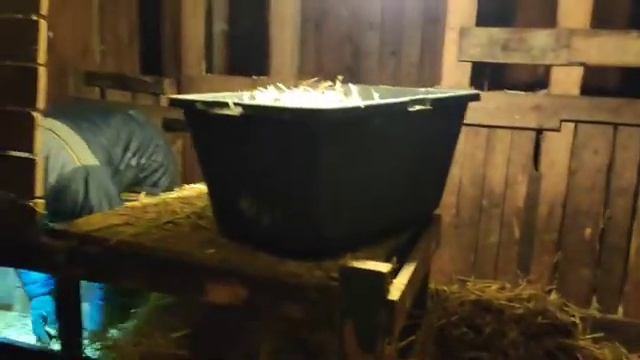 Зимняя вечерняя управа козовода. смотреть онлайн