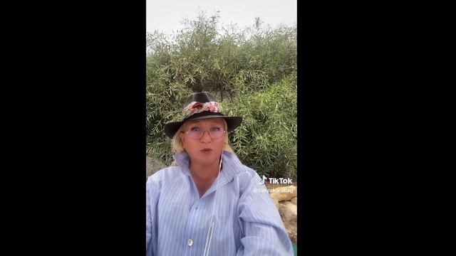 ПРОГНОЗ _Переселение № 4597 смотреть онлайн