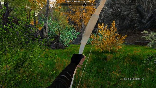 Hunting in Chanterelle mod with the Arctic Wolf Bow смотреть онлайн