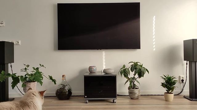 B&W 606 S2 , Onkyo 9010, Chromecast Audio, Tidal HIFI, Schiit Modi 3+, Baker street - Gerry Raffert смотреть онлайн