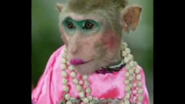 Иван Кучин-Обыкновенная