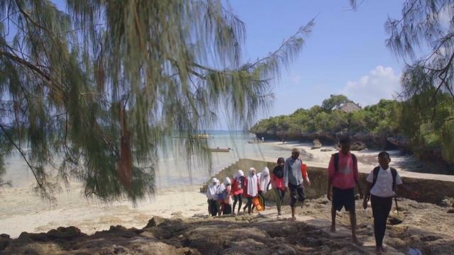 Zanzibar's award-winning private nature reserve, Chumbe Island Coral Park смотреть онлайн
