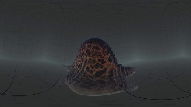 VR Jurassic Encyclopedia #4 - Dimetrodon dinosaur facts 360 Education смотреть онлайн