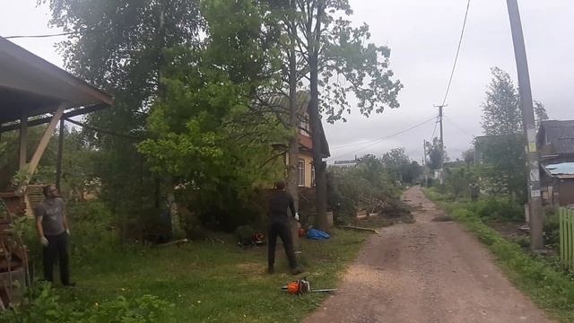 дерево упало на дом смотреть онлайн