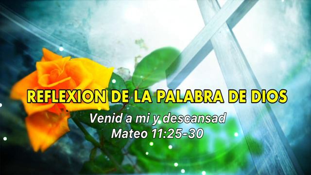 Evangelio De HOY. Domingo 09 De Julio 2023 Mateo 11, 25-30 «Te Alabo, Señor Del Cielo Y De La Tierr