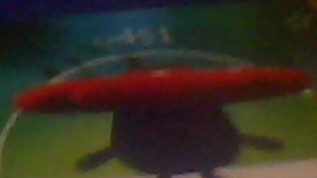 Покемон го мои карточки смотреть онлайн