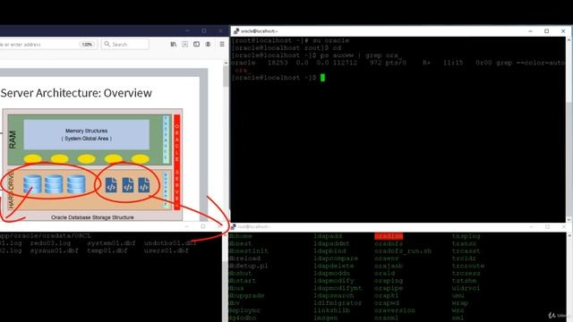001. Oracle Database Server Architecture Basics. смотреть онлайн
