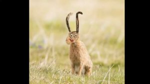 Ожившие детские рисунки!