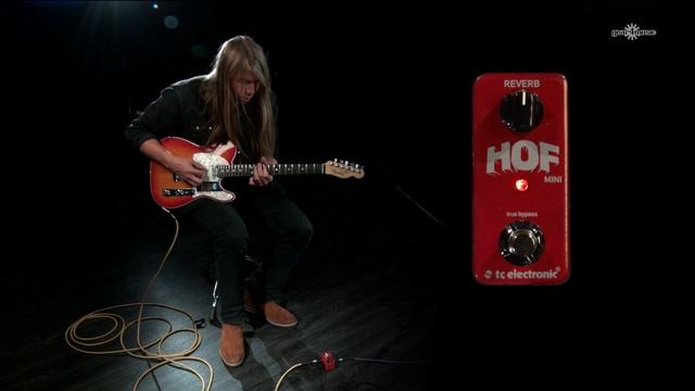 TC Electronic Hall of Fame Mini Reverb | Gear4music demo смотреть онлайн