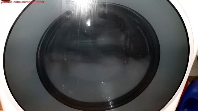 LG Washer Dryer Inverter Direct Drive 8/5 Kg F4J6TM0W: Tub Clean With Calgon/descaling