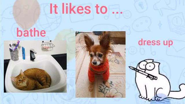 Pets. Talking about pets in English. How to tell about your pets. School topic ,,Pets" смотреть онлайн