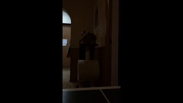 Эпичный удар смотреть онлайн