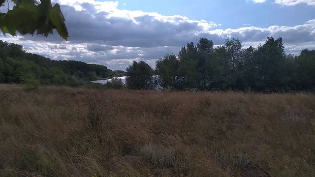 Собрали ежевику, грузди, груши🍐🍄 смотреть онлайн