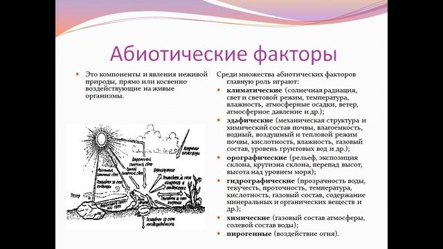 Презентация Экологические факторы среды смотреть онлайн