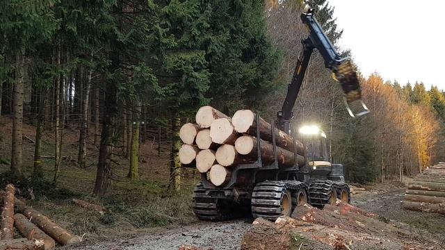Ponsse Elk Loading Big Logs