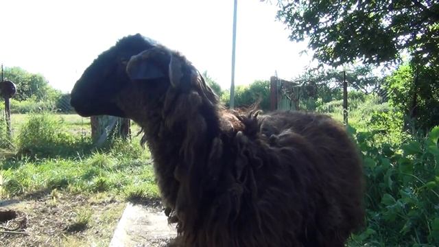 помогли теще с сеном и и увеличили свой омет еще на 30 рулонов, жизнь в деревне смотреть онлайн