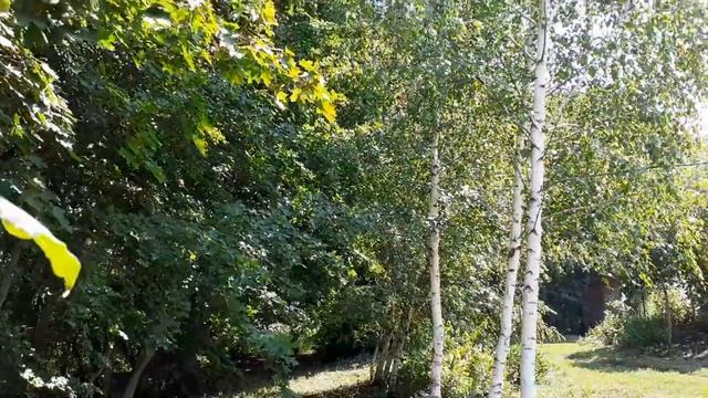 Прогрессовский СДК Живёт село родное смотреть онлайн