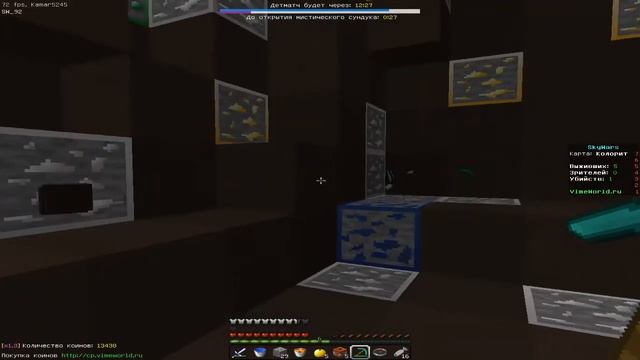 Я сдал Экзамен!КАК Я ЕГО СДАВАЛ!!!-Sky Wars VimeWorld Minecraft (11#) смотреть онлайн