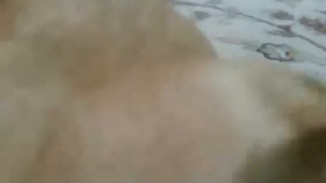 Мудрый Зифка хочет спать смотреть онлайн