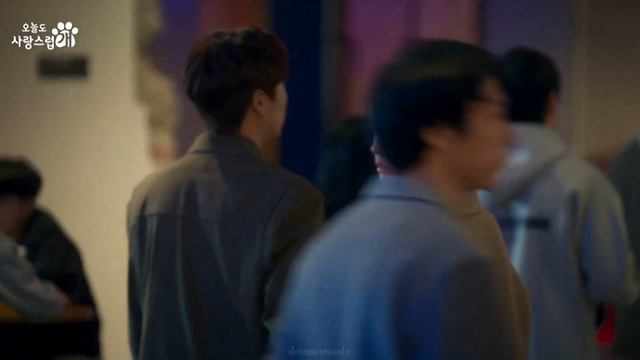 Дорама Отличный день чтобы стать собакой тизер 12 серии/A Good Day to Be a Dog ep.12/오늘도 사랑스럽개 ep.1 смотреть онлайн