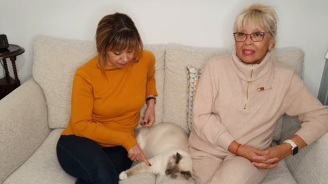 559. КАК ТЫ РЕАГИРУЕШЬ НА КОМПЛИМЕНТ ИЛИ ДОБРОТА ПРЕЖДЕ ВСЕГО. смотреть онлайн