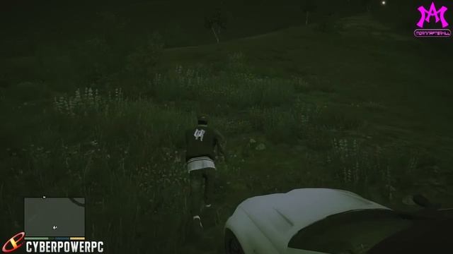 GTA 5 How To Walk & Play Fetch With Chop For 100% Completion! GTA V 100% Checklist! смотреть онлайн