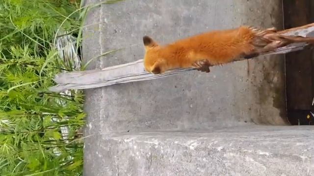 загрузка 9 смотреть онлайн