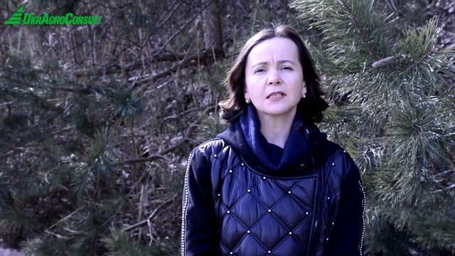 Украина. Возобновление спроса на подсолнечное масло крайне необходимо производителям смотреть онлайн