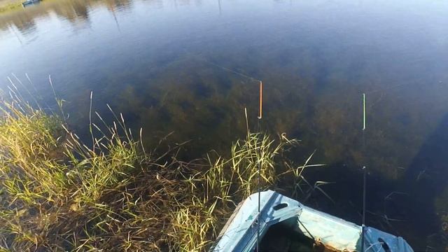 Рыбалка на Китайскую сеть с кормушкой как на нее ловить ? смотреть онлайн