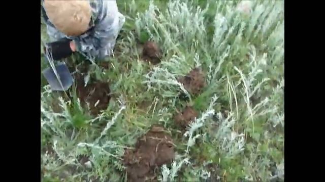Поход на гору Бадалык смотреть онлайн