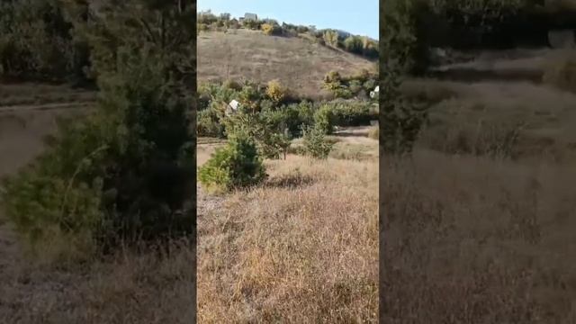 #горка#KAYO K1 смотреть онлайн