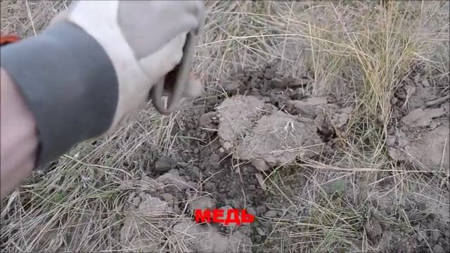 КАК ОКУПИТЬ МЕТАЛЛОИСКАТЕЛЬ ЗА ОДИН ДЕНЬ смотреть онлайн