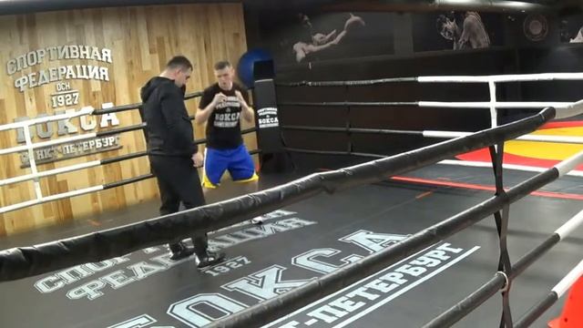Тренировка по боксу/отработка по корпусу/работа на лапах смотреть онлайн