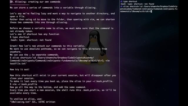 Command Line Tutorial 10. Aliasing: Creating your own commands смотреть онлайн