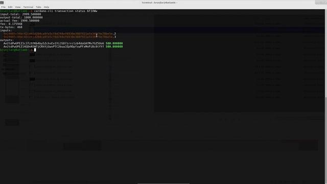 IOHK | Cardano CLI wallet - Building a Complicated Transaction by Hand смотреть онлайн