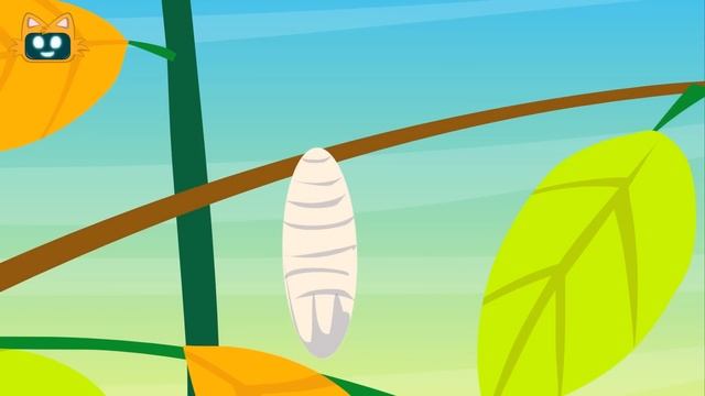 Kelebek ve Tırtıl | Eğitici Çocuk Şarkıları смотреть онлайн