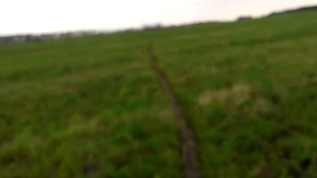 От ворот садов до остановки реальное время снято-5 минут. смотреть онлайн