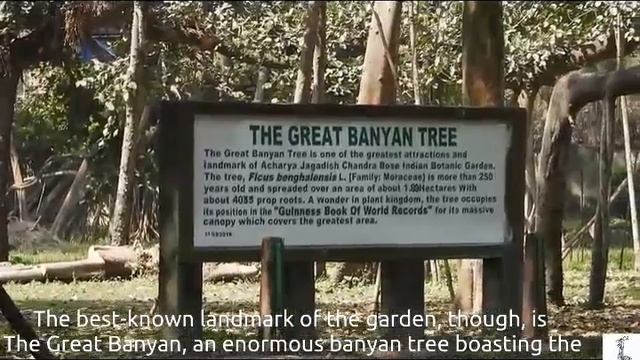 Acharya Jagadish Chandra Bose Indian Botanic Garden смотреть онлайн