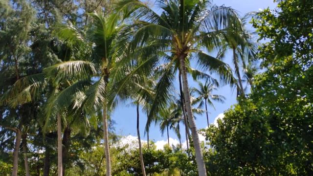 ?➊ Пляж Три транг - Tri trang beach 4к - 2022. Пхукет обзор всех пляжей! Погода в Таиланде сейчас! смотреть онлайн