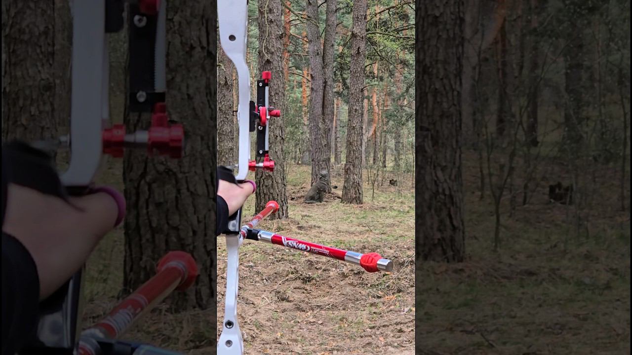 Стрельба из лука в моменте #shorts #archery #арбалеты #slowmotion смотреть онлайн