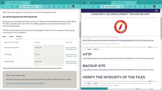INSTALACIÓN DE JDK + NETBEANS 12.5 EN WINDOWS 2021 смотреть онлайн