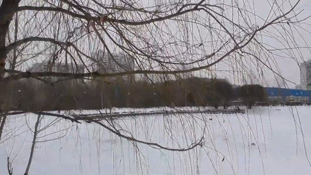 Братиславский парк в районе Марьино февраль 2021 года смотреть онлайн