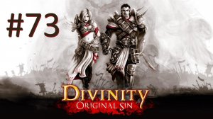 Прохождение Divinity: Original Sin - Enhanced Edition - Часть 73 (кооператив)
