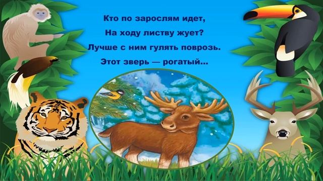 Соседи по планете