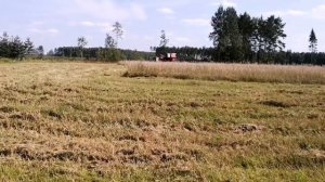 Комбайн СК-5 Нива с измельчителем, домолот, уборочная в Белорусской глубинке!