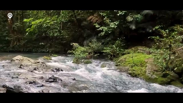 Папуа Нова Гвинея | Истинско Приключение в Джуглата | Ден 2 смотреть онлайн