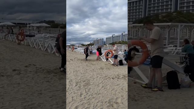 Wow 🔥 you reaction?)🤤 смотреть онлайн