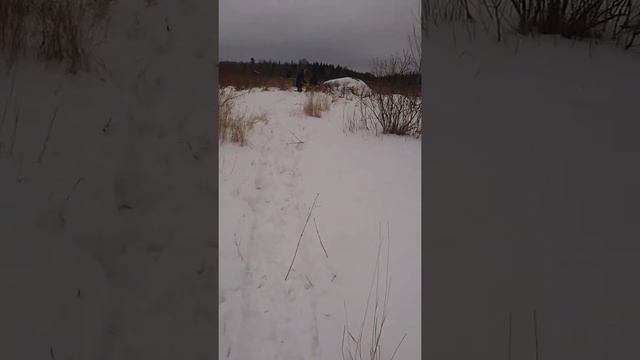 Приехали дети из Тюмени смотреть онлайн